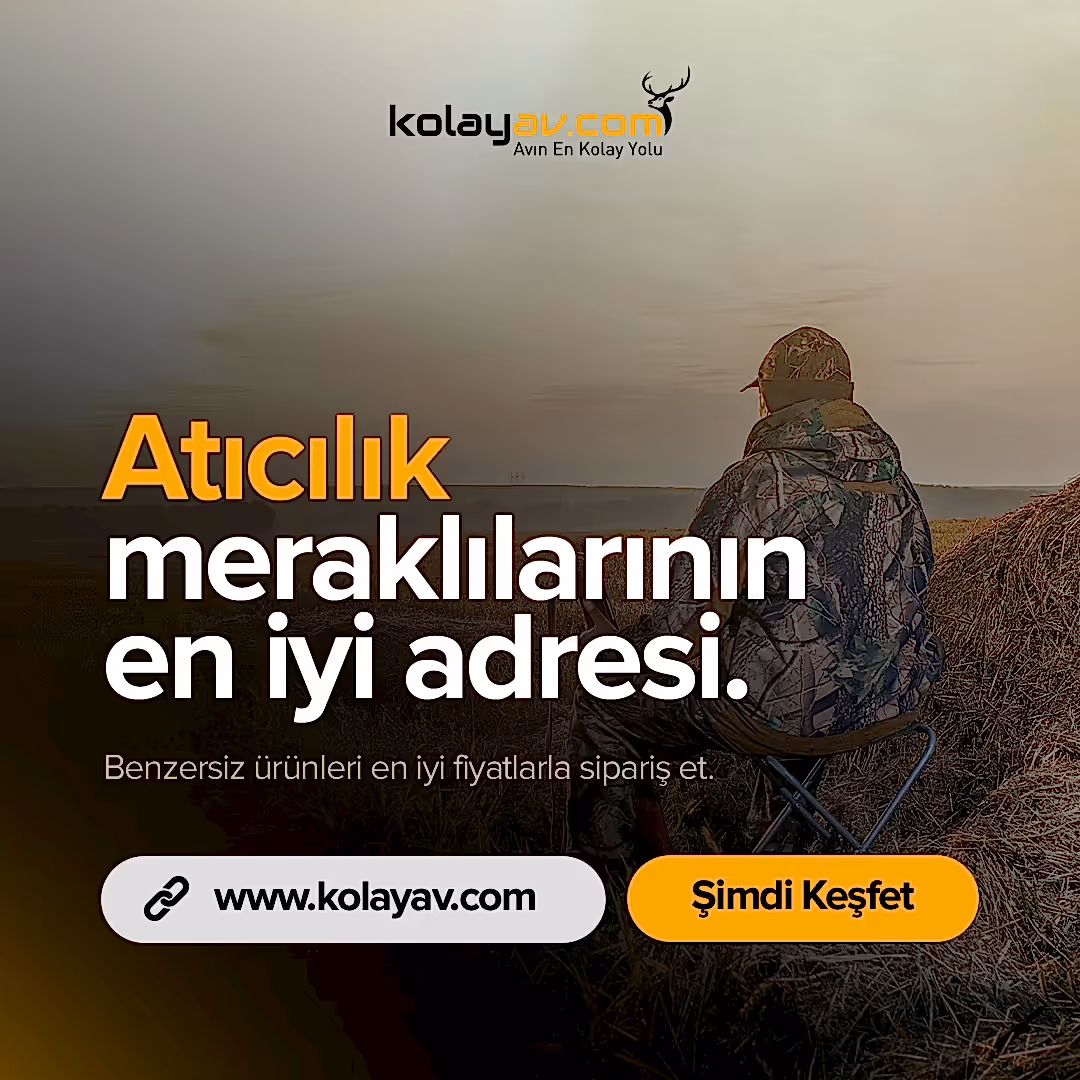 Kolayav sosyal medya tasarımı